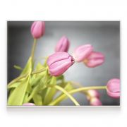 Quadro Decorativo Tulipas Comercial Ramos