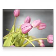 Quadro Decorativo Tulipas Comercial Ramos