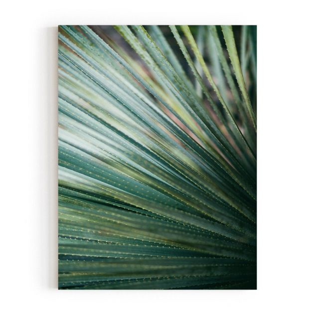 Quadro Decorativo Yucca do Deserto Comercial Ramos