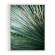 Quadro Decorativo Yucca do Deserto Comercial Ramos