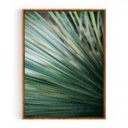 Quadro Decorativo Yucca do Deserto Comercial Ramos