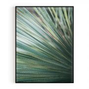 Quadro Decorativo Yucca do Deserto Comercial Ramos